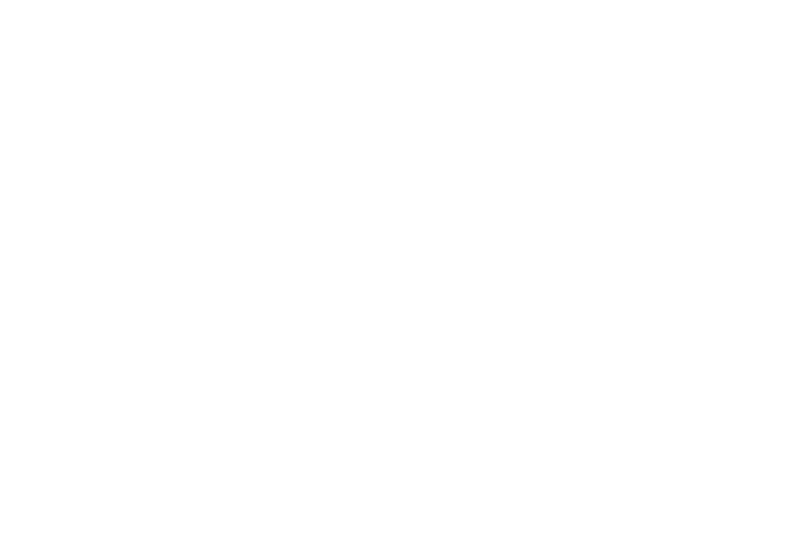 ADAM LIPPES LOGO_WHITE
